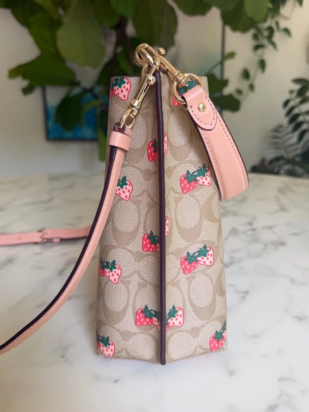 Coach Mollie Bucket Bag 22 In Signature Canvas With Strawberry Print CB602
